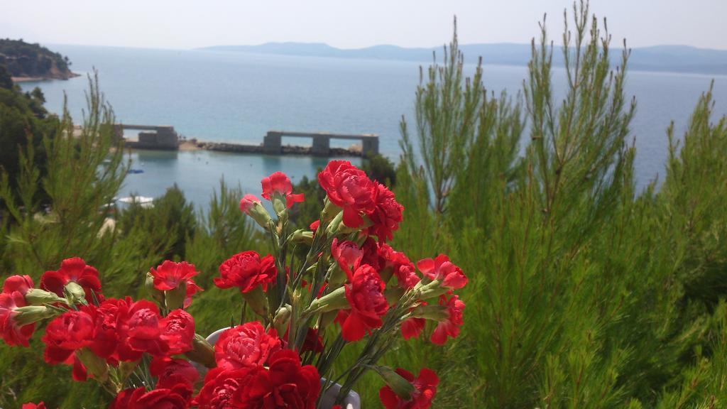 Apartmani Sea View Lokva Rogoznica Bilik gambar